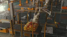 Bag Palletizing System