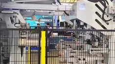 Automatic Valve Bag Placer