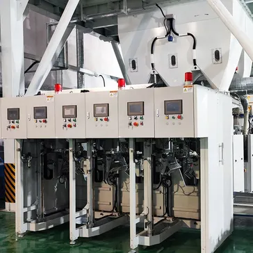 Automatic Valve Bag Placer 