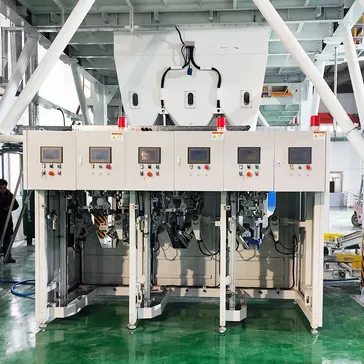 Automatic Valve Bag Placer