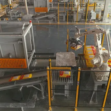 Robotic Bag Palletizer