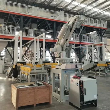 Robotic Bag Palletizer