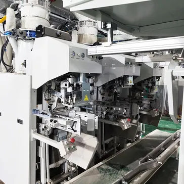 Automatic Valve Bag Placer